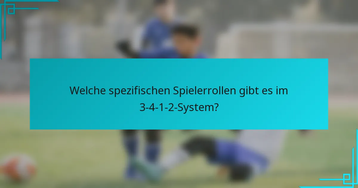 Welche spezifischen Spielerrollen gibt es im 3-4-1-2-System?
