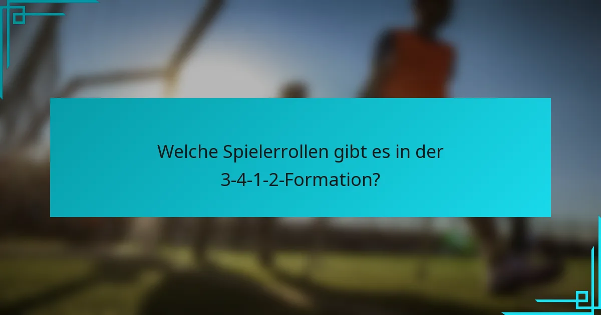 Welche Spielerrollen gibt es in der 3-4-1-2-Formation?