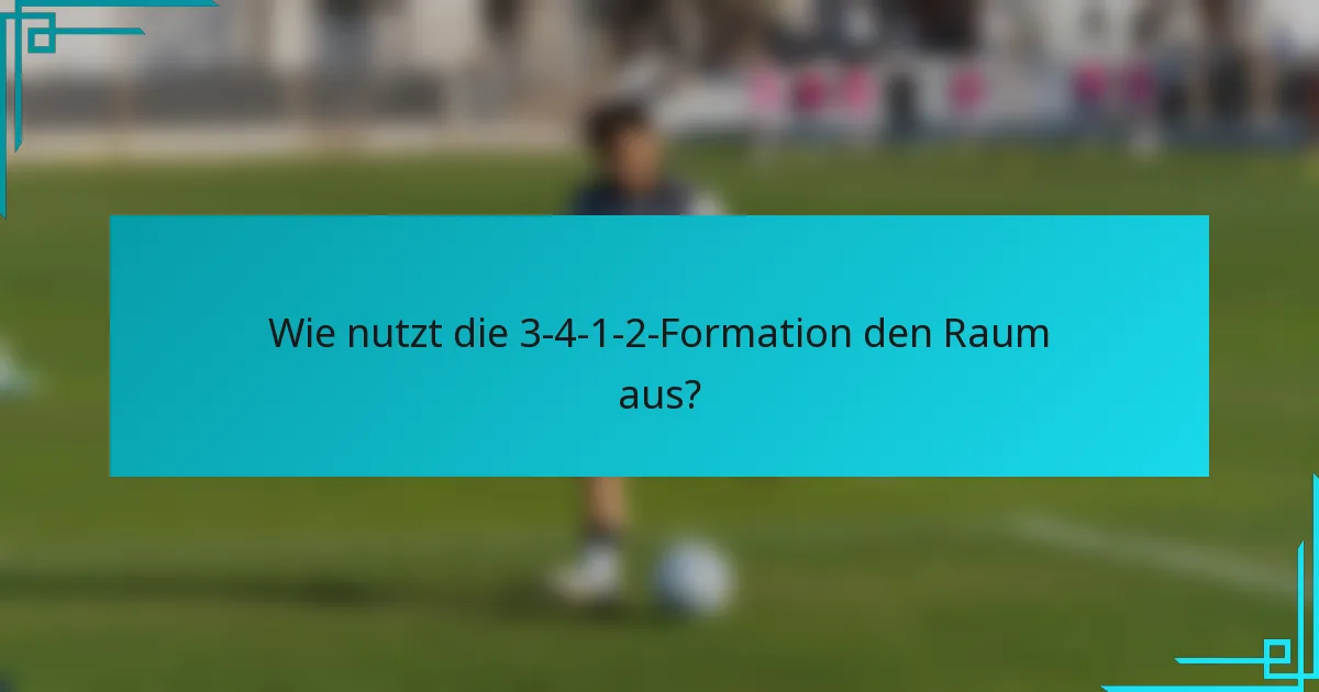 Wie nutzt die 3-4-1-2-Formation den Raum aus?