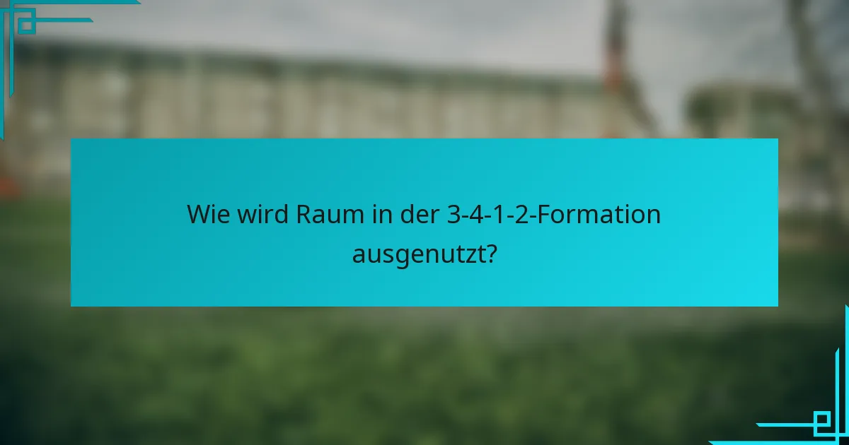 Wie wird Raum in der 3-4-1-2-Formation ausgenutzt?